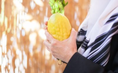 Souccot: Pourquoi le ETROG ?