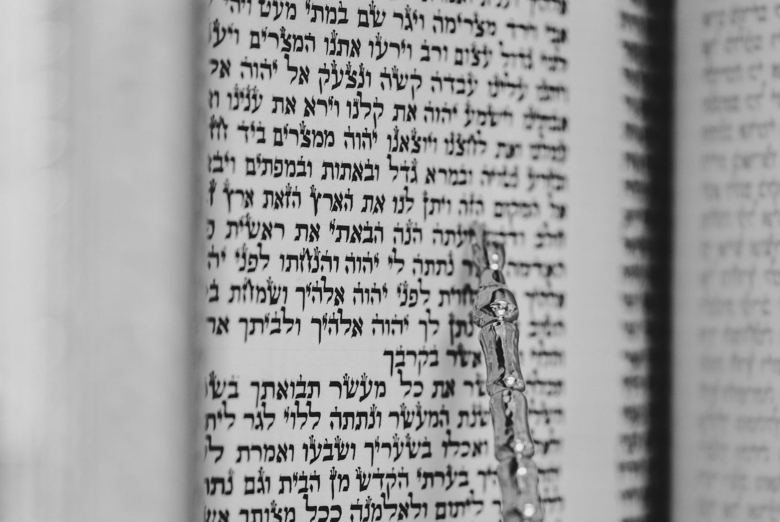 Chai-453